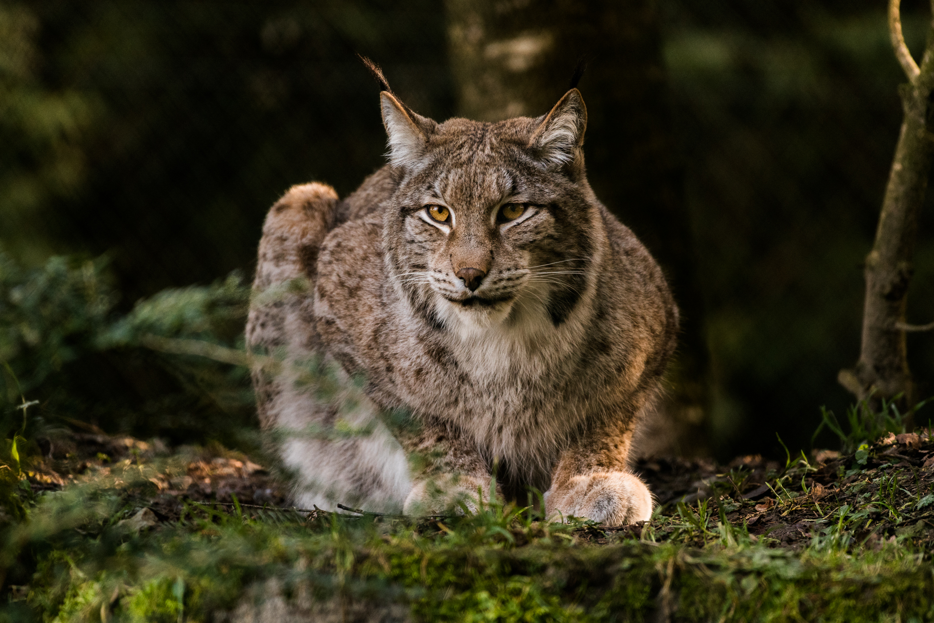 Visite photo du Zoo et Tropiquarium de Servion