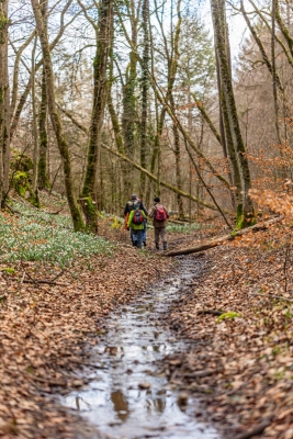 Photo Chantal Chollon