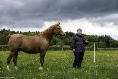 Azimut-photo - Approche du cheval de randonnée